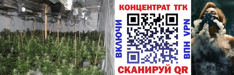 Купить где  Пыть-Ях  Дистиллят ТГК Wax 
